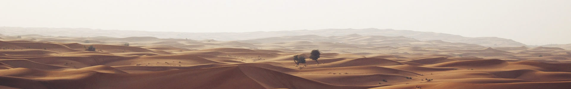 пģ޹˾